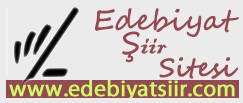 Edebiyat Şiir