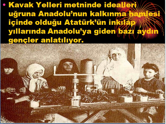 kavak yelleri 2