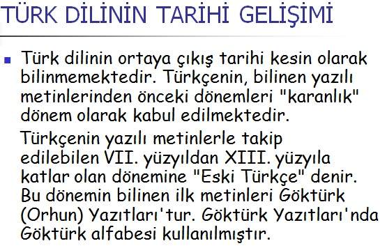 türk dilinin tarihi gelişimi